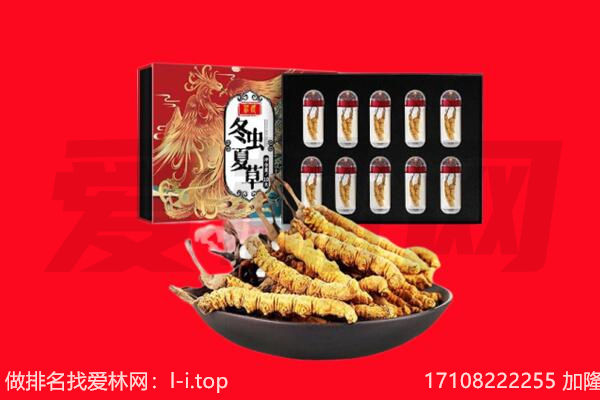 百色市田林回收虫草.jpg